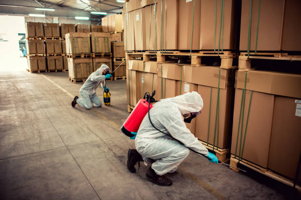 Best Exterminator Services  in Denison, IA