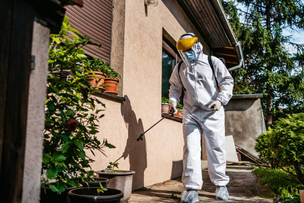 Best Pest Prevention Services  in Denison, IA