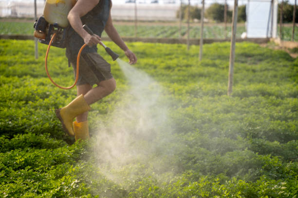 Best Pest Control Cost  in Denison, IA