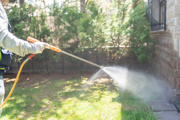 Best Affordable Pest Control Services  in Denison, IA